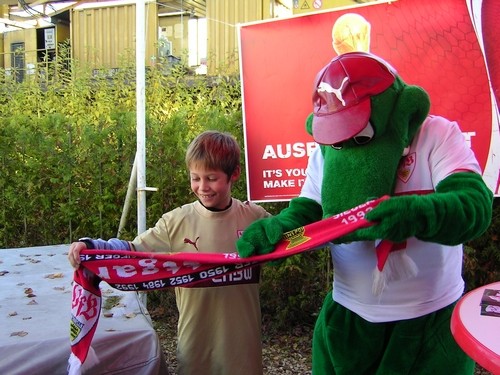 BayerVfB00070   -  (BayernVfB)