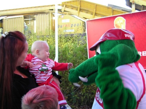 BayerVfB00097   -  (BayernVfB)