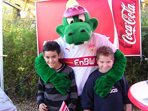 BayerVfB00100   -  (BayernVfB)